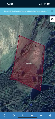 Şile Çelebi satılık Arsa